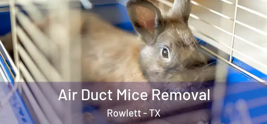  Air Duct Mice Removal Rowlett - TX