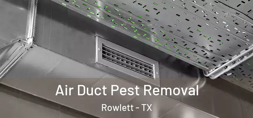  Air Duct Pest Removal Rowlett - TX
