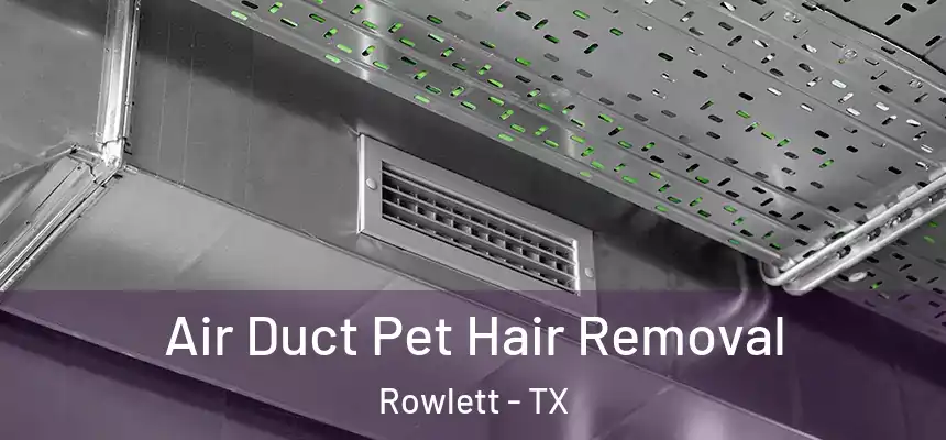 Air Duct Pet Hair Removal Rowlett - TX