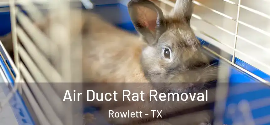  Air Duct Rat Removal Rowlett - TX