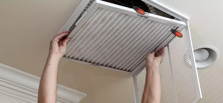 Preventive Cockroach-Proofing for Ducts in Rowlett