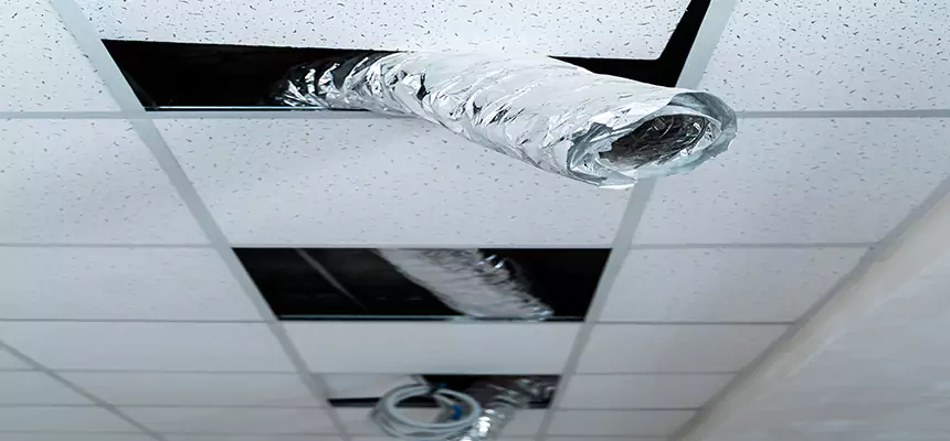 Affordable HVAC Sanitizing After Pest Removal in Rowlett