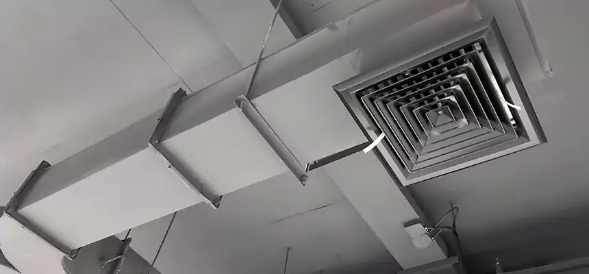 Restorative Allergy Relief Vent Cleaning – Coil, Blower & Housing Detail in Rowlett