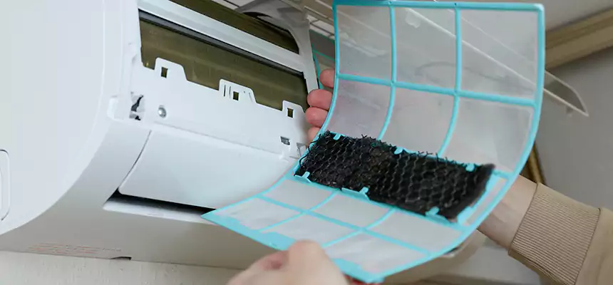 Gentle Ductwork Odor-Control Pet Dander Duct Cleaning in Rowlett, TX