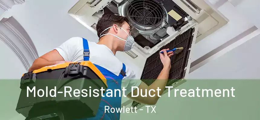  Mold-Resistant Duct Treatment Rowlett - TX