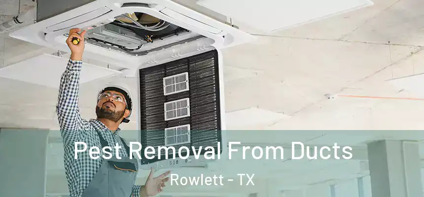 Pest Removal From Ducts Rowlett - TX