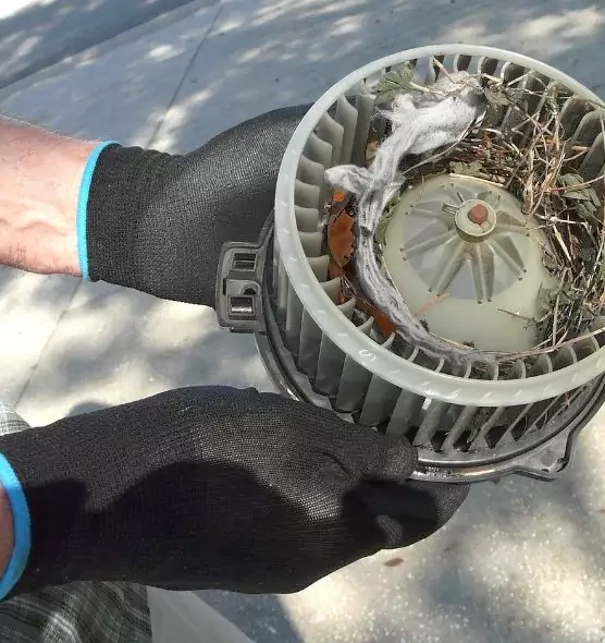 About Air Duct Mice Removal in Rowlett, TX