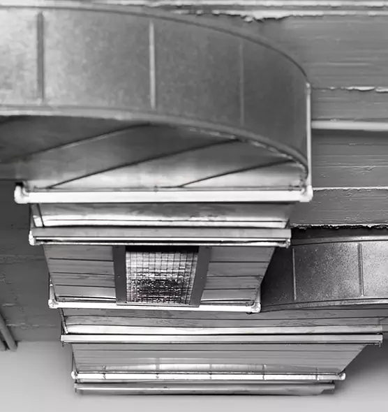 Professional Air Duct Pet Hair Removal in Rowlett, TX