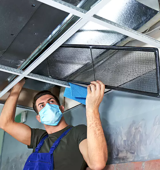 Professional Air Duct Pollen Cleaning in Rowlett, TX