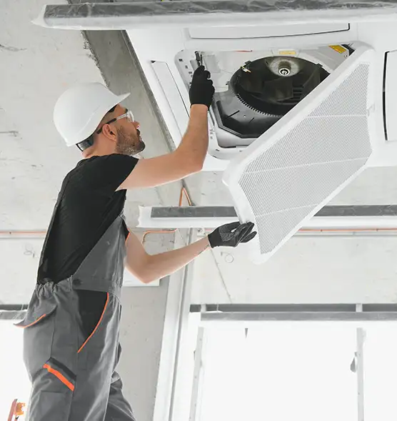 About Air Duct Rodent Removal in Rowlett, TX