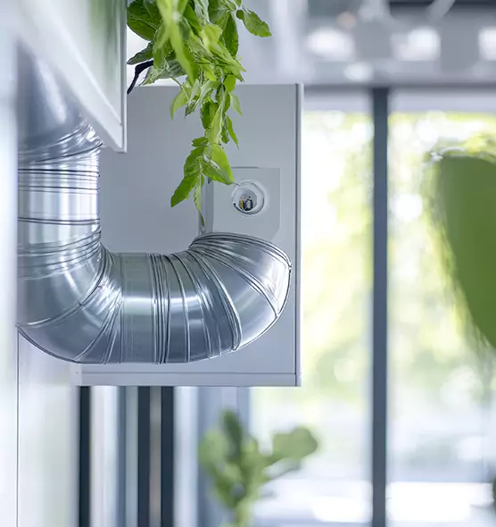 Professional Eco-Friendly Duct Cleaning Services in Rowlett, TX