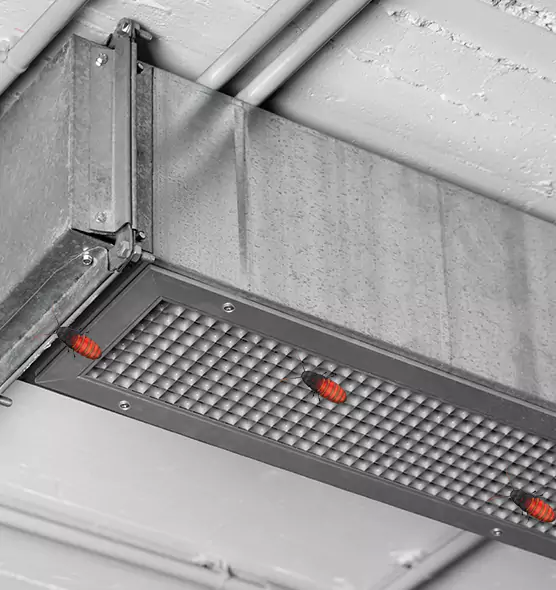 Affordable Insect Removal from Air Ducts in Rowlett, TX