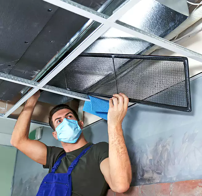 Why Homeowners Businesses Trust Us in Rowlett, TX